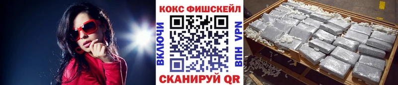 Кокаин FishScale  Купить  Кострома