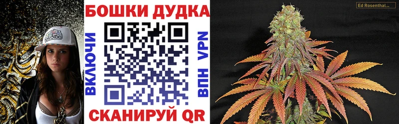 Купить  Кострома  Бошки Шишки ГИДРОПОН 